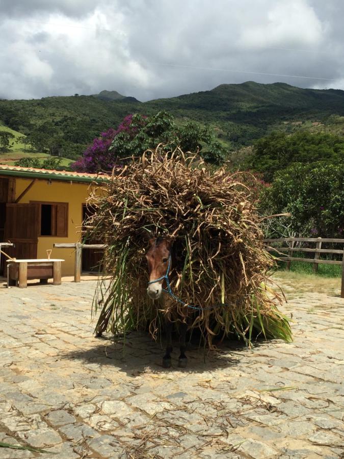 Casa Amarela Holiday home